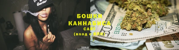 бошки Алексин