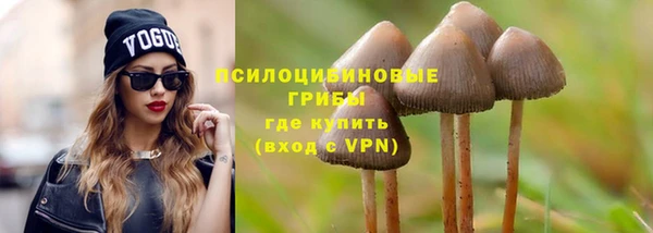 круглые Алексеевка