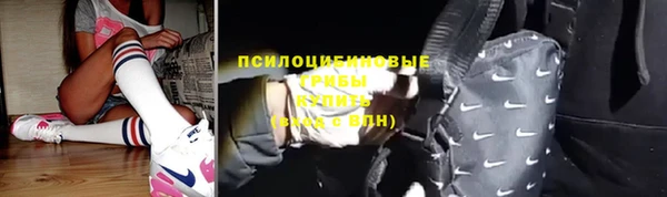 мяу мяу мука Медвежьегорск