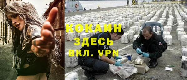 бошки Алексин