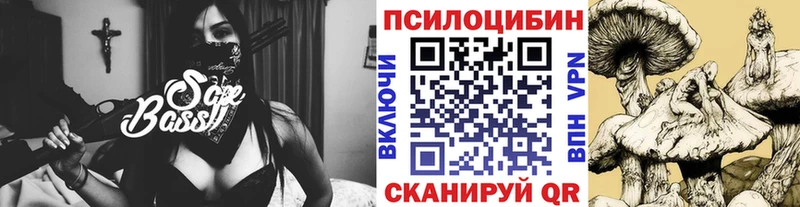 Галлюциногенные грибы MAGIC MUSHROOMS  где купить наркотик  Владимир 